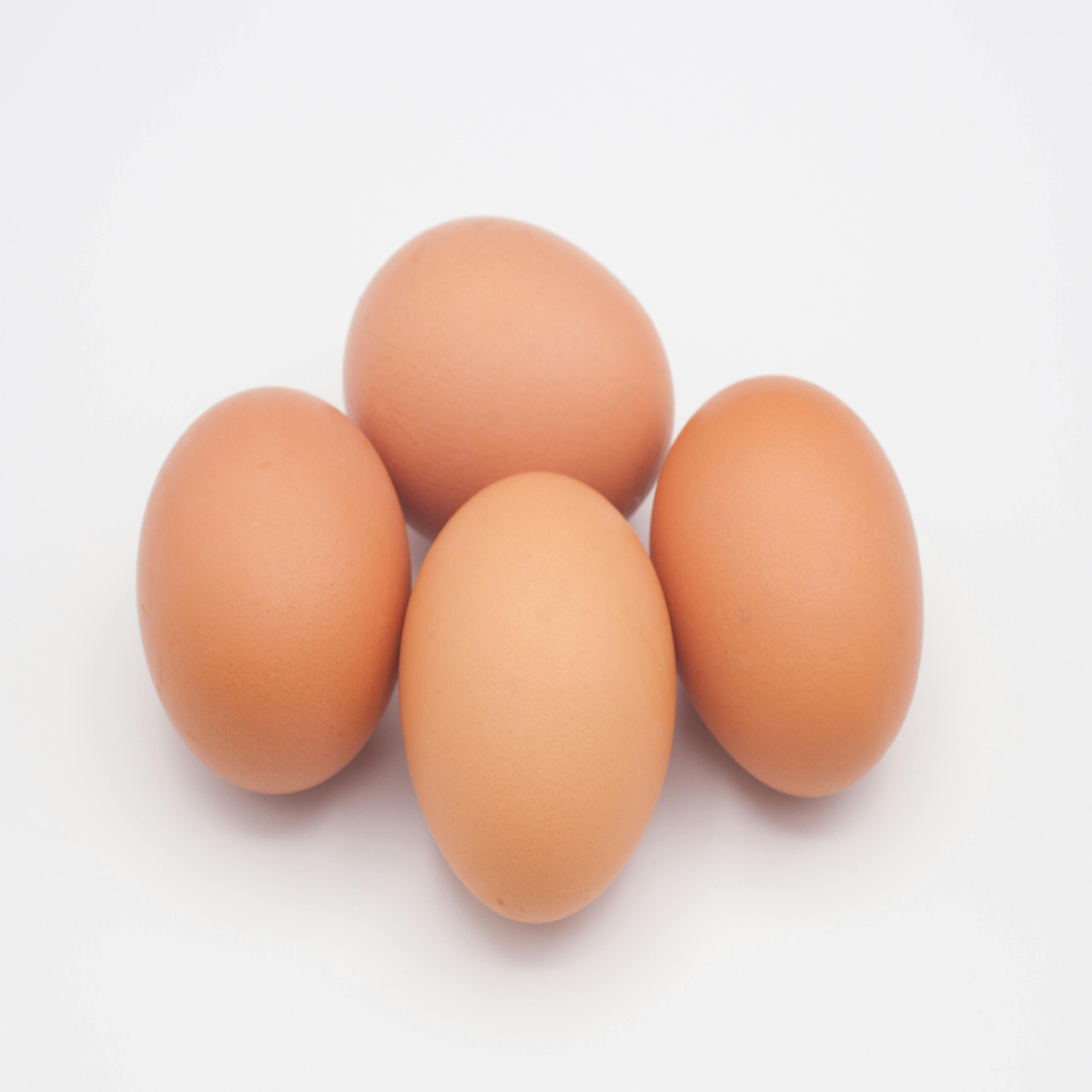Egg Image