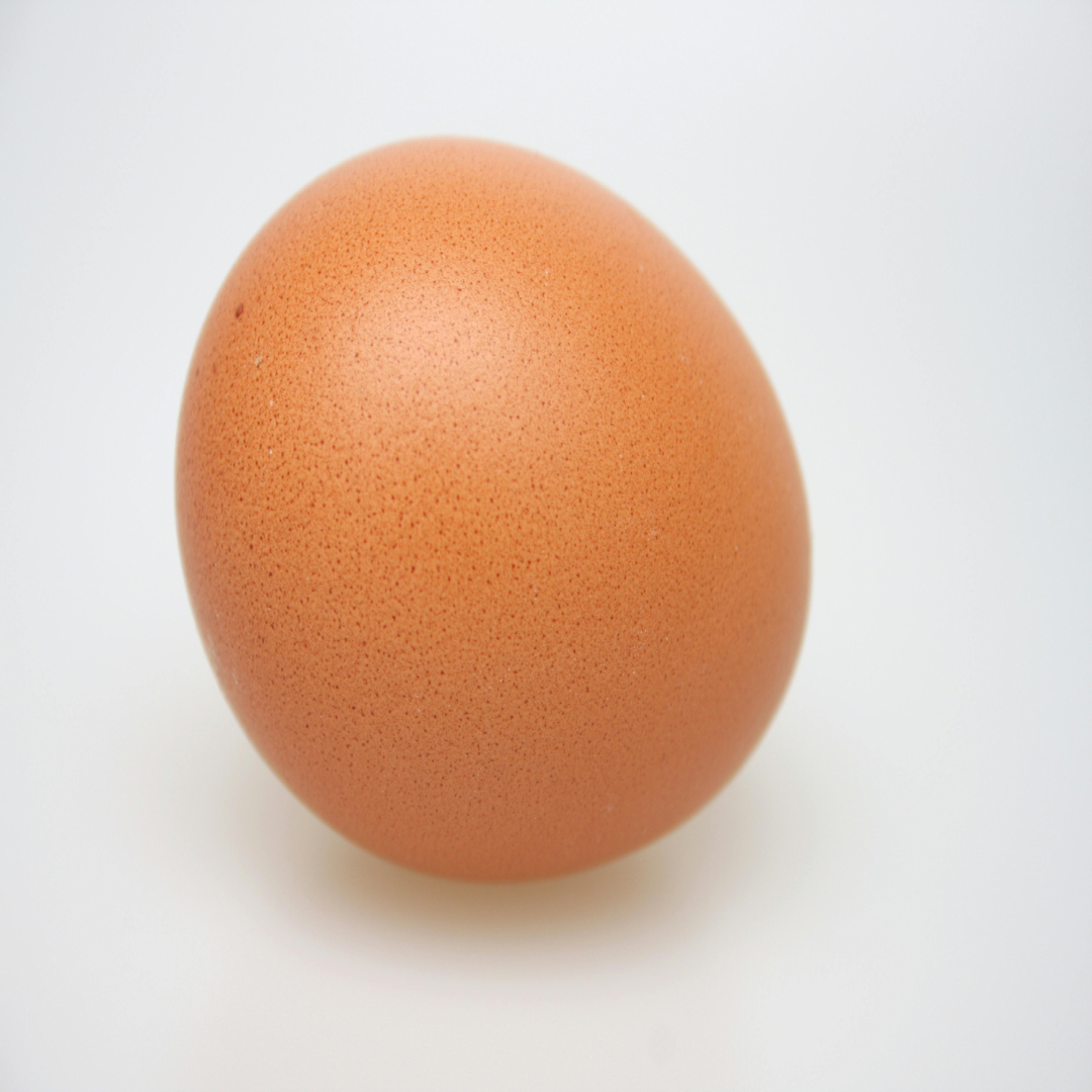 Egg Image