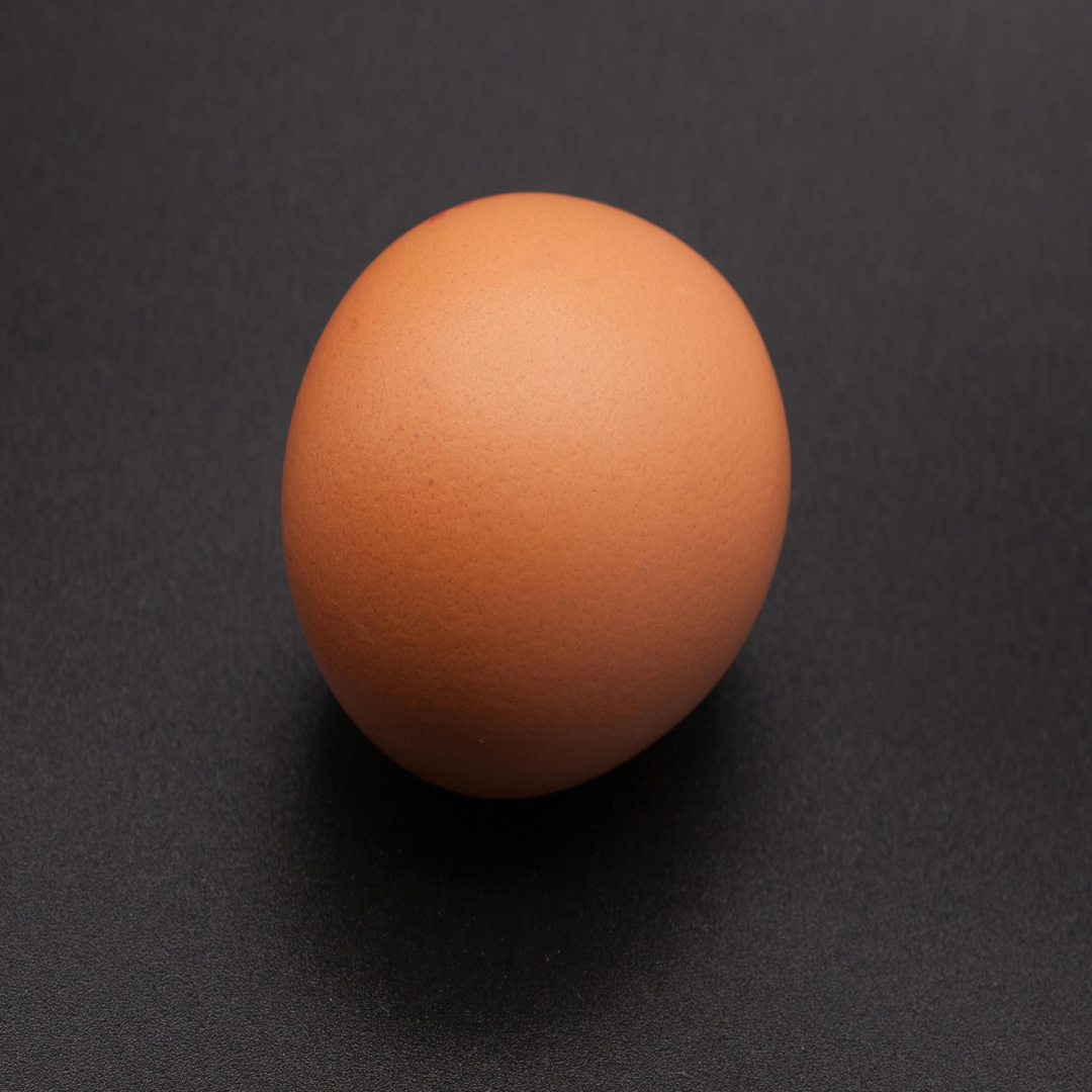 Egg Image