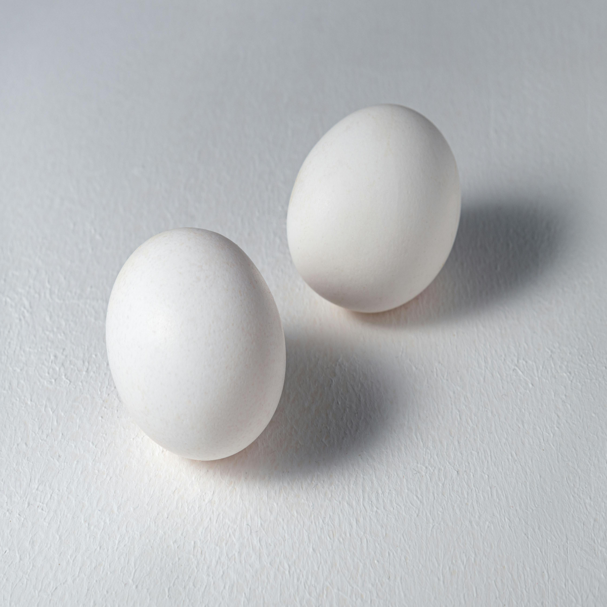 Egg Image