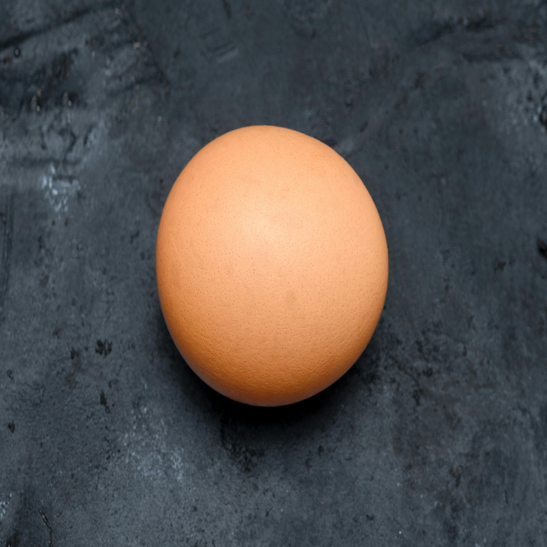 Egg Image