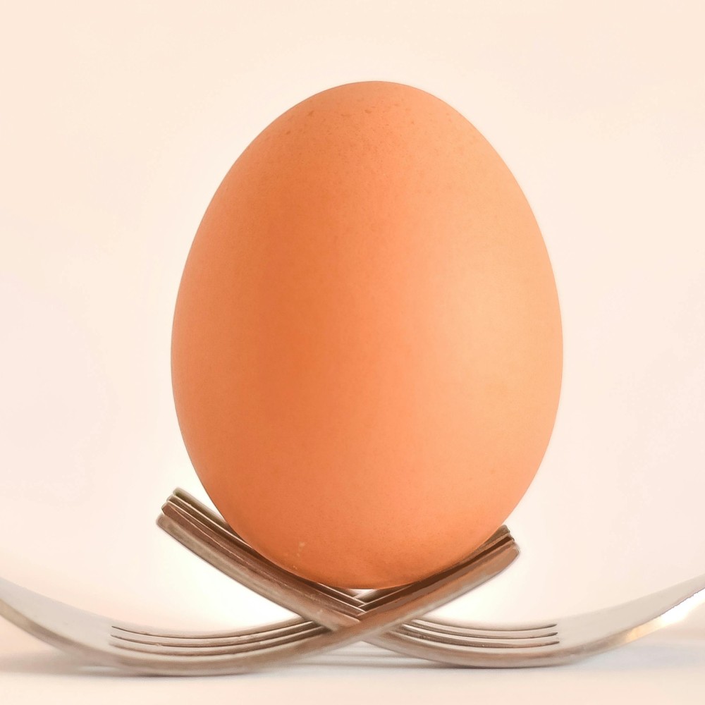 Egg 1