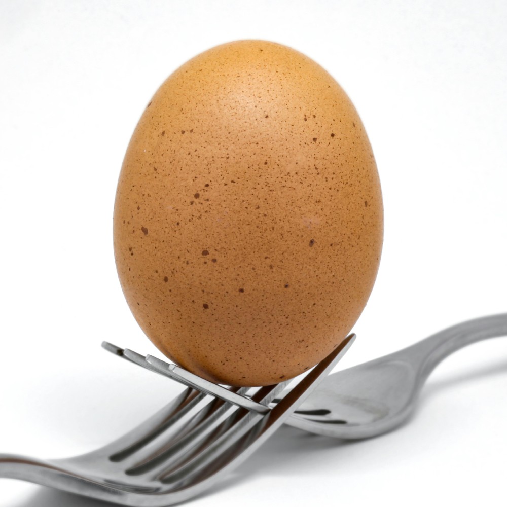 Egg 2