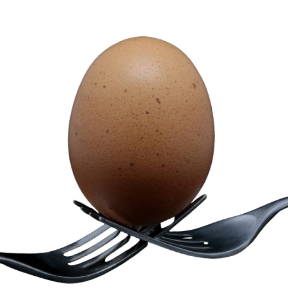 Egg 3